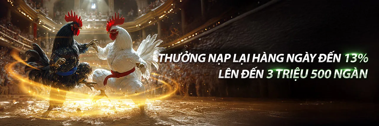 Đá Gà Thomo 23/5/2023 - Sân đấu gà Thomo